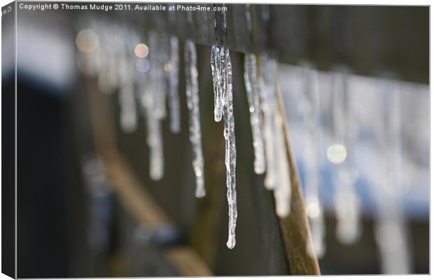 Icicles Canvas Print by Thomas Mudge