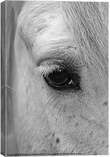 Window to the Soul Canvas Print by Donna Collett