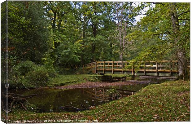 Tranquil Bridge Canvas Print by Donna Collett