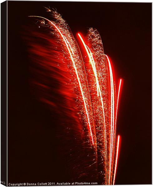 Red Streaks Canvas Print by Donna Collett