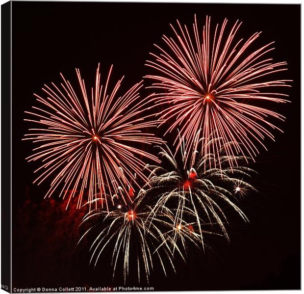 Red Bursts Canvas Print by Donna Collett