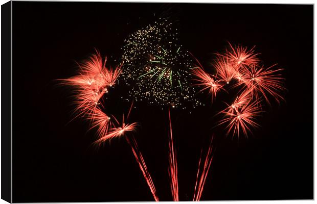 Fireworks Canvas Print by Donna Collett