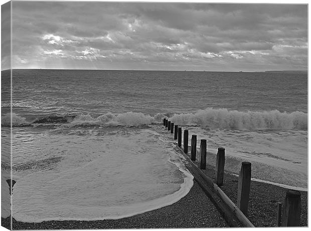 Waves at Hayling Island Canvas Print by Donna Collett