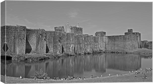 Caerphilly Castle Canvas Print by Donna Collett