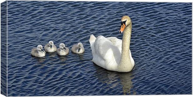 a young family Canvas Print by Donna Collett