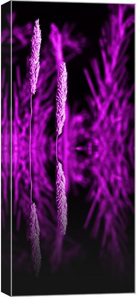 purple grass reflection - slim Canvas Print by Donna Collett