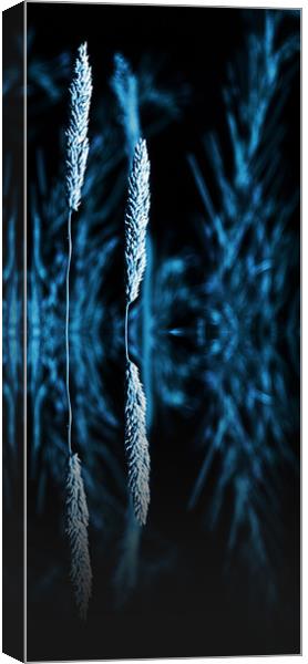 grass reflection blue - slim Canvas Print by Donna Collett