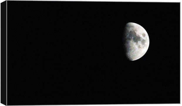 Moon Canvas Print by Donna Collett
