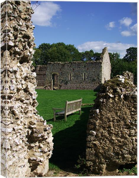 Bishop Waltham Palace - Bench View Canvas Print by Donna Collett