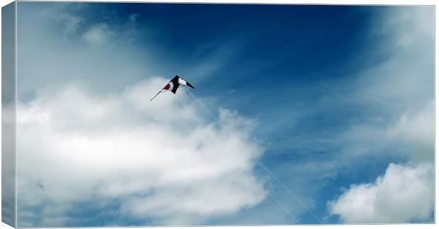 Fly A Kite Canvas Print by Donna Collett