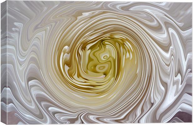 Molten Chrysanth Swirl Canvas Print by Donna Collett