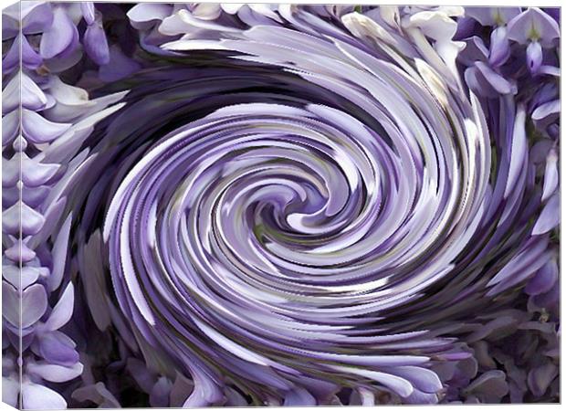Wisteria Swirl Canvas Print by Donna Collett