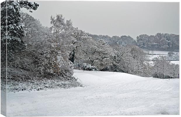 Rosebowl Golf Course in Winter Canvas Print by Donna Collett