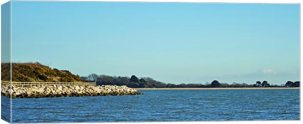 Hamble Point Canvas Print by Donna Collett