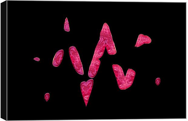 Pink Blobs Canvas Print by Donna Collett