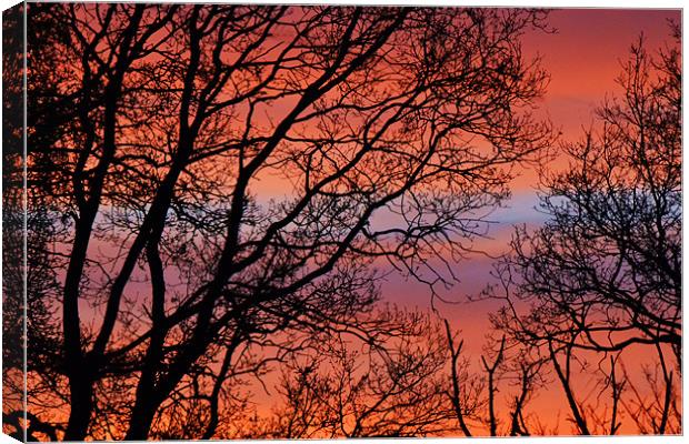 Sunset Bands Canvas Print by Donna Collett