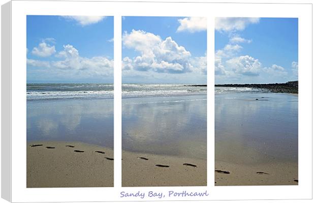 Sandy Bay Triptych Canvas Print by Donna Collett