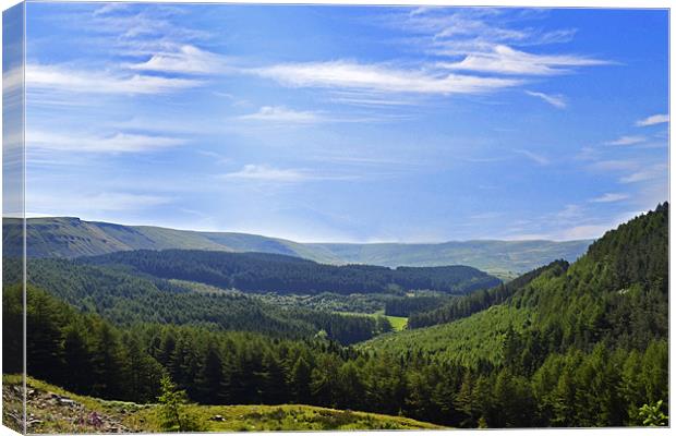 Brecon Beacons Canvas Print by Donna Collett