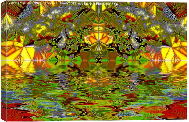 Butterfly Kaleidoscope Canvas Print by Ian Jeffrey