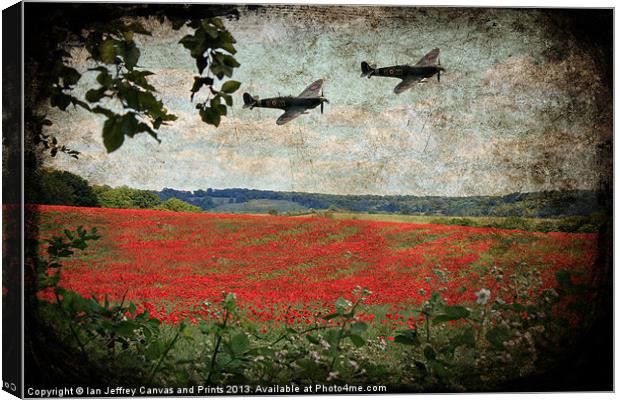 Over The Poppy Field Canvas Print by Ian Jeffrey