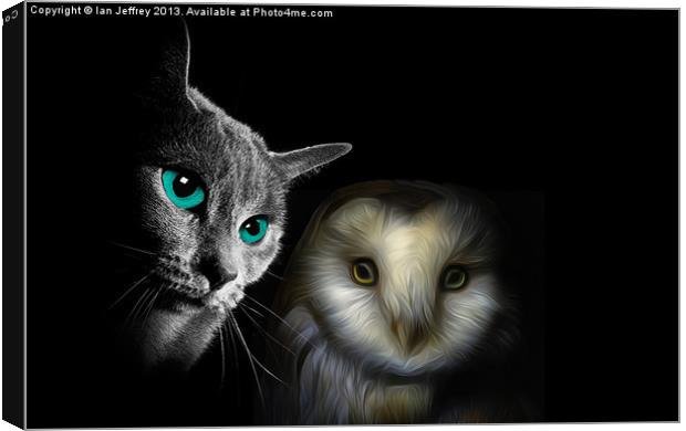 The Owl and the Pussycat Canvas Print by Ian Jeffrey