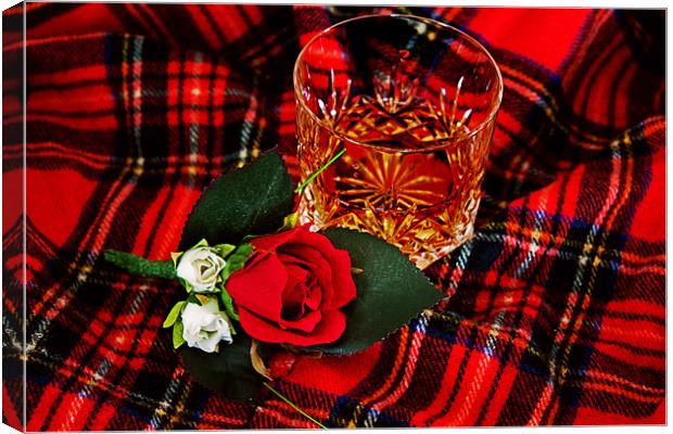 Glass of whisky Canvas Print by Ian Jeffrey