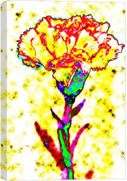 Carnation Art Canvas Print by Ian Jeffrey
