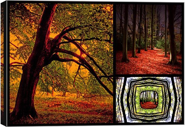 Autumn Collage Canvas Print by Ian Jeffrey