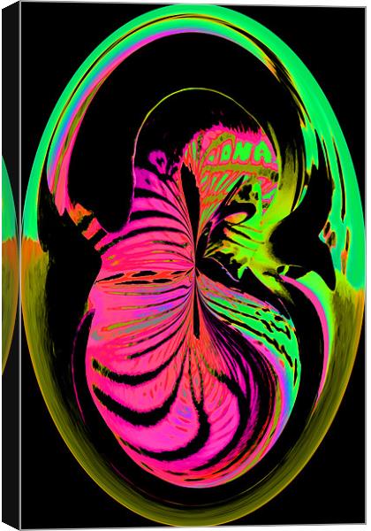 Embrio Canvas Print by Ian Jeffrey