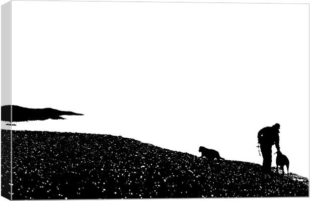 Walking The Dogs Canvas Print by Ian Jeffrey