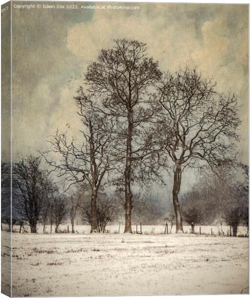 Trees in Winter Snow Canvas Print by Dawn Cox