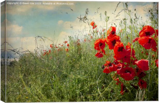 Poppy field Canvas Print by Dawn Cox