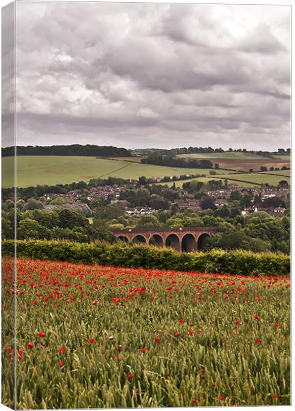 Poppies overlooking the Viaduct Canvas Print by Dawn Cox