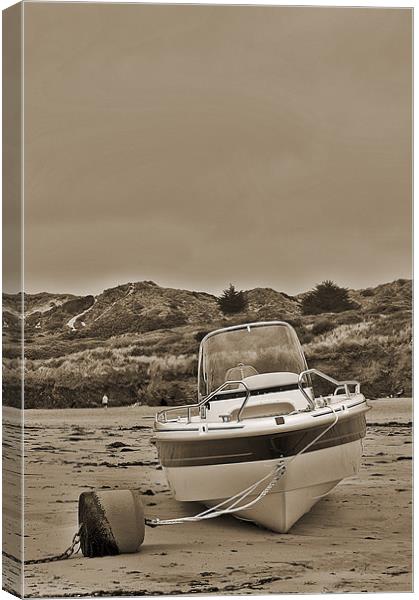 Water Ski Boat Canvas Print by Dawn Cox