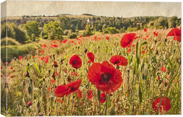 Poppy field Near Eynsford, Kent Canvas Print by Dawn Cox