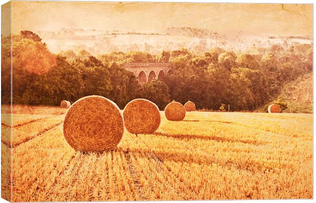Field of Golden Wheat Canvas Print by Dawn Cox