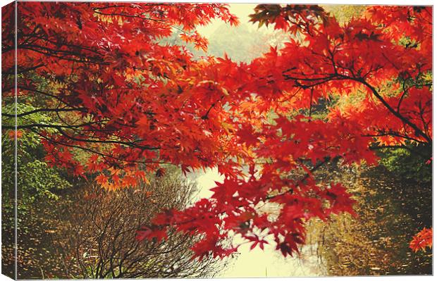 Autumn over the Lake Canvas Print by Dawn Cox