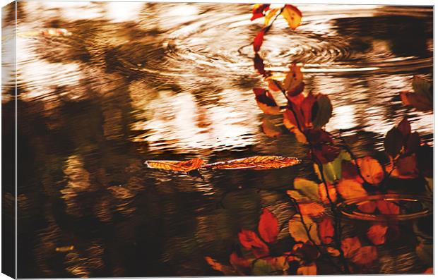 Autumn Reflection Canvas Print by Dawn Cox