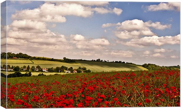 Poppies on the Hill Canvas Print by Dawn Cox