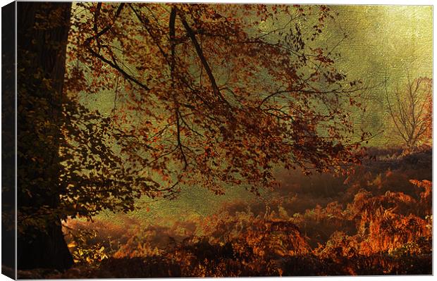 Enchanted place Canvas Print by Dawn Cox
