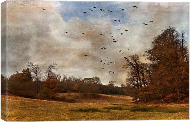 Where the Crows Fly Canvas Print by Dawn Cox