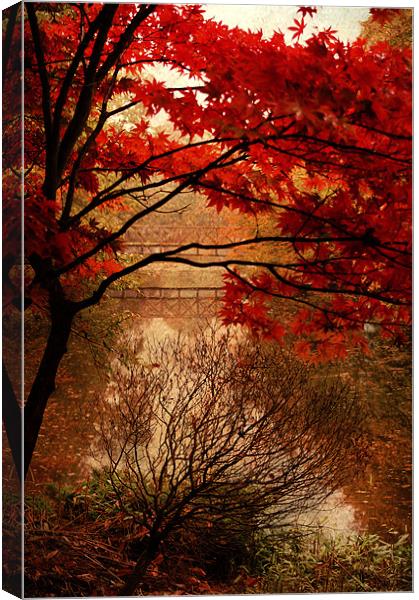 Reflections of Autumn Canvas Print by Dawn Cox