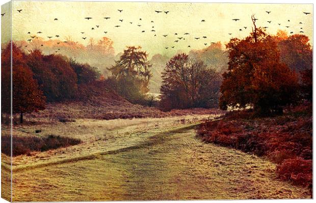Autumn walk Canvas Print by Dawn Cox
