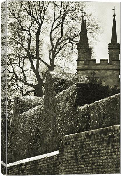 View of Penshurst Church Canvas Print by Dawn Cox