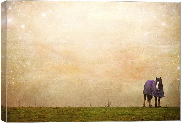 The corner of the Field Canvas Print by Dawn Cox