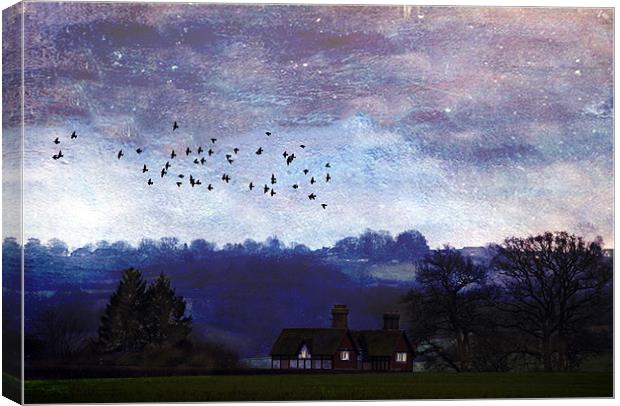 Home to Roost Canvas Print by Dawn Cox