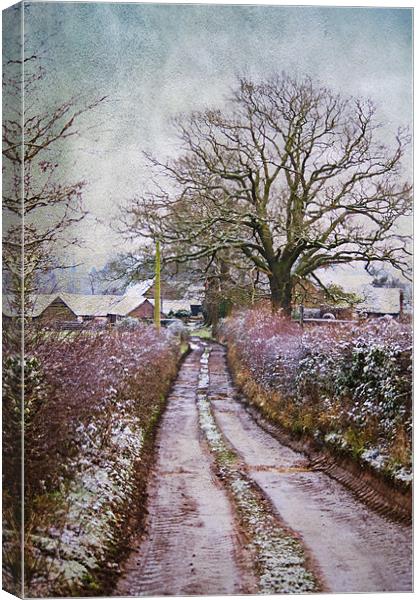 The Winding Pathway Canvas Print by Dawn Cox