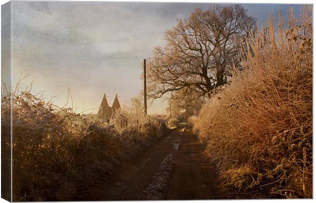 morning walk Canvas Print by Dawn Cox