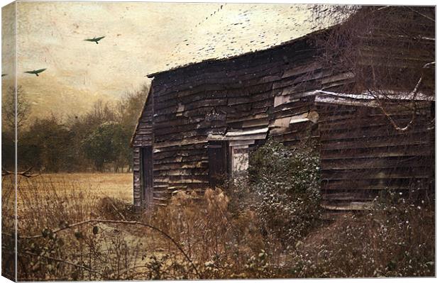The Old Barn Canvas Print by Dawn Cox