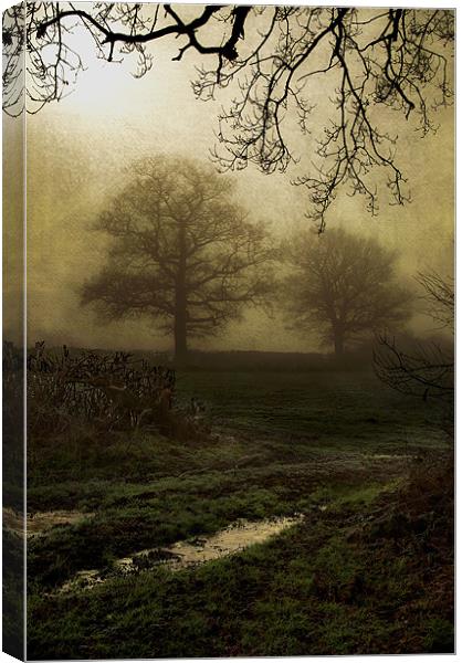 Through the mist Canvas Print by Dawn Cox